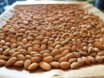 تصویر 1 از خرید جدید ترین انواع بادام درختی پوست‌ دار